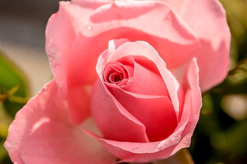 Vintage Rose Bouquet